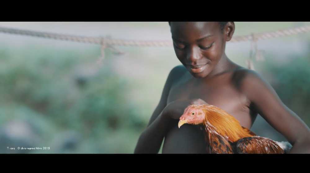 Court métrage Ti Coq de Nadia Charlery  (2015)