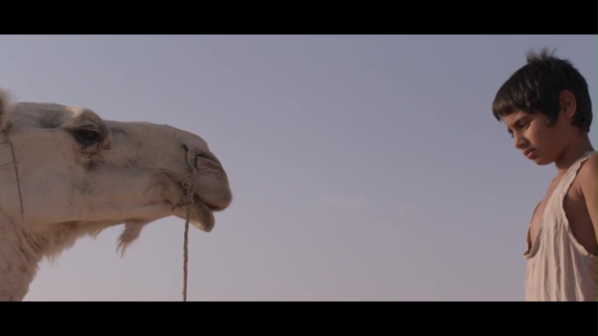 Court métrage L'enfant chameau de Chabname Zariâb (2018)